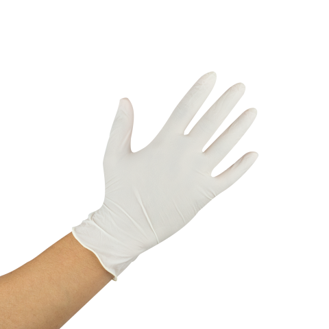 Karat Latex Powder-Free Gloves (Clear) - Large - 1,000 ct, FP-GL1018